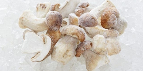 Kako zamrznuti vrganje za zimu kod kuće